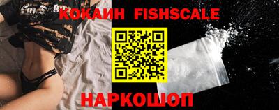 гашик Можга