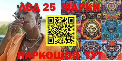 гашик Можга