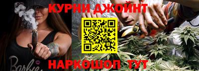 гашик Можга