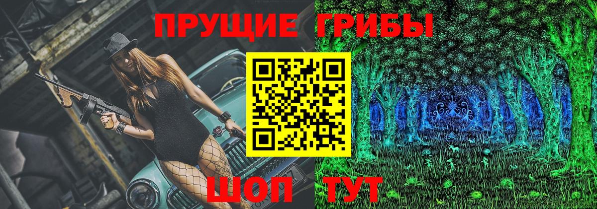 Вязьма  Галлюциногенные грибы прущие грибы  Псилоцибиновые грибы мицелий  Вход с VPN 