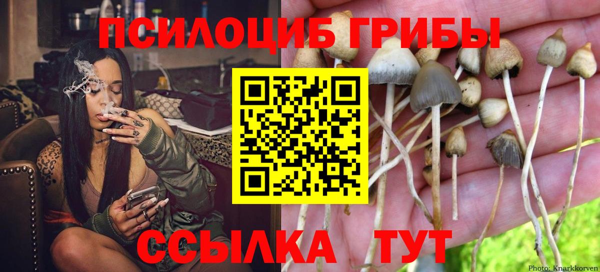 Псилоцибиновые грибы мухоморы Вязьма